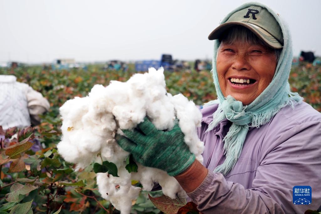 龙虎游戏破解方法